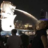 １直在蕗ょoо头像