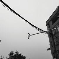 用户445991269391头像