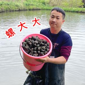 江西螺大大