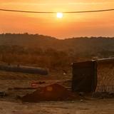 好学菠萝P3y头像