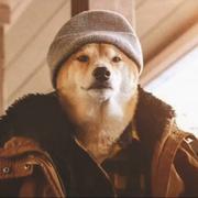 亐㔓506的个人资料头像