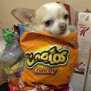 清秋不清的个人资料头像