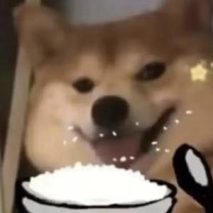 小柴的读书笔记头像