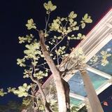 用户1362993269718375头像