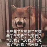 用户2425379071877头像