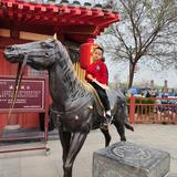 旅行家布雷特4y头像