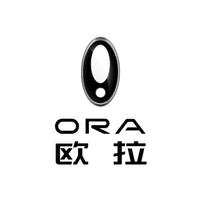 潍坊广潍欧拉头像