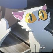 Again803的个人资料头像