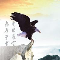 vip16625181688头像