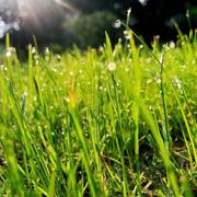 梦醒清晨的个人资料头像