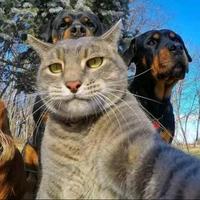 第玖片海🤔头像