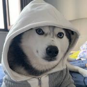 十七599的个人资料头像