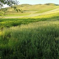 手机用户92514082555头像