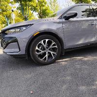 啊文的唐Dmi头像