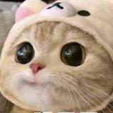 没心没肺水瓶座头像