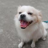 用户6790854312035头像