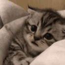 青山外的个人资料头像