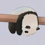 同是人间风雪客头像