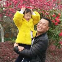 雨花下的石头头像