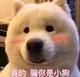 何日能相见头像