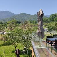 用户发芽的土豆头像