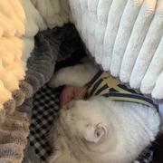 用户8800375751040的个人资料头像