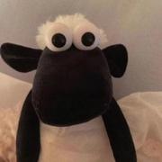 clint456的个人资料头像