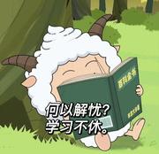忆柒的个人资料头像