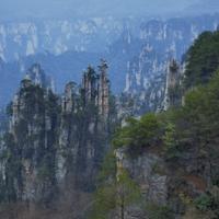 坦荡的山丘tu头像