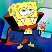 sia的个人资料头像