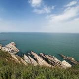 阿地大蛎子头像