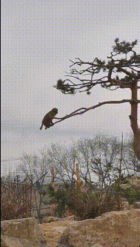 楠黎的个人资料头像