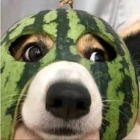 用户7214334286836头像