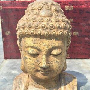 驼城观察员头像