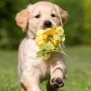 秦小关的个人资料头像