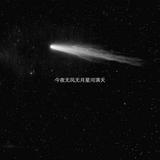 春春之无所畏惧头像