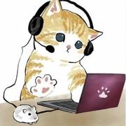 纯粹的无知的个人资料头像