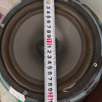 高级星星Cok头像