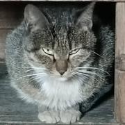 峰与风随的个人资料头像