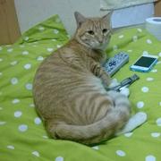 EngineZhang的个人资料头像