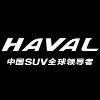 桥头俊丽哈弗头像