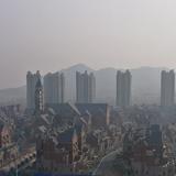 风往北吹029头像