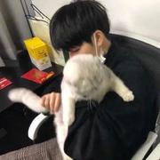 Crecent的个人资料头像