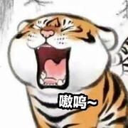 哈喽哈喽的个人资料头像