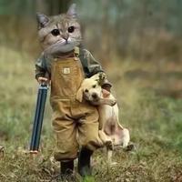 三头连不大头像