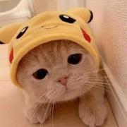 Zmaomao的个人资料头像