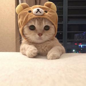 小泥精选头像