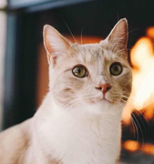 JonHao_莱恩的个人资料头像