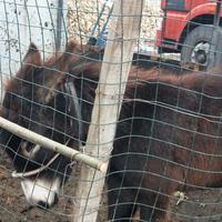 用户2360848243276头像