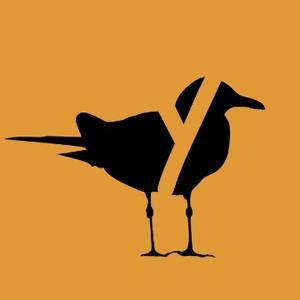 伙伴与老Young头像